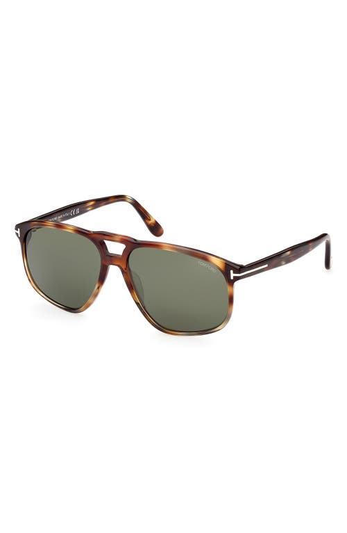 Shop Tom Ford 58mm Navigator Sunglasses In Havana/green