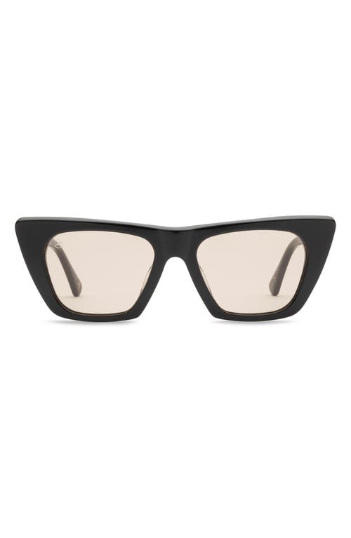 Noli 52mm Polarized Cat Eye Sunglasses in Gloss Black/Amber
