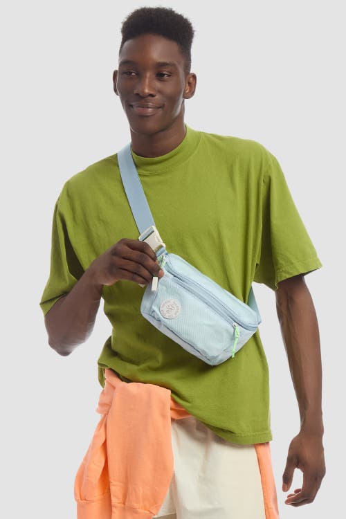 Shop Baboon To The Moon Fannypack 3l In Drizzle