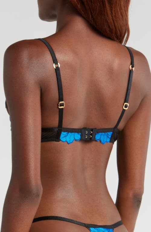 Bluebella Sorento Embroidered Mesh Underwire Bra In Black/egyptian Blue