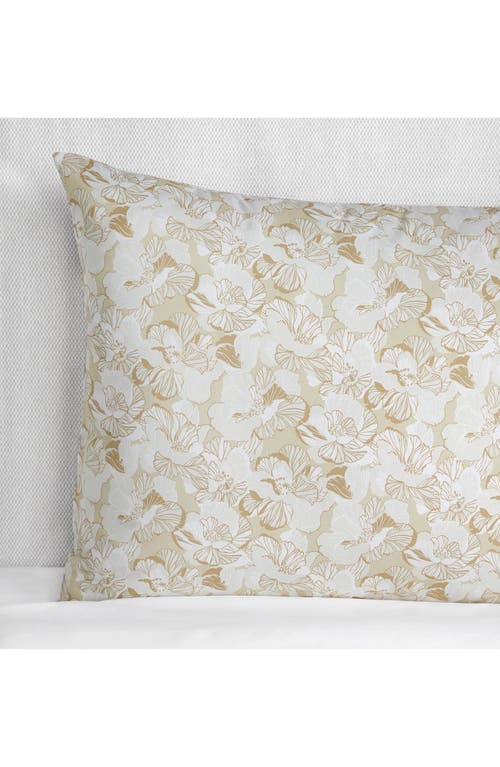 Sferra Tropici Cotton Percale Continental Sham In Sand