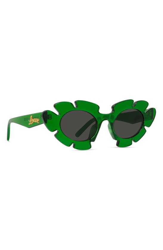 Loewe X Paula's Ibiza 47mm Cat Eye Sunglasses In Dark Green/ Other / Smoke
