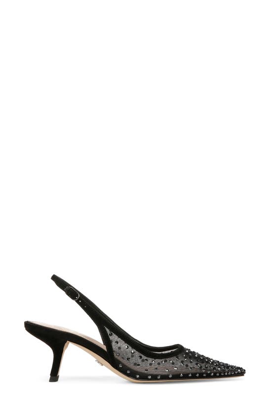 Shop Sam Edelman Bianka Slingback Mesh Pointed Toe Pump In Black