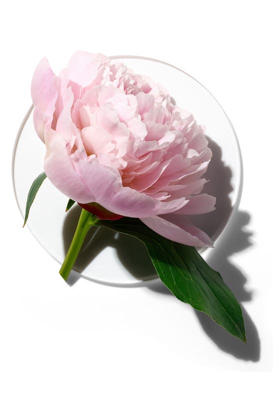 Clinique My Happy Peony Picnic Perfume Spray - 0.5 oz