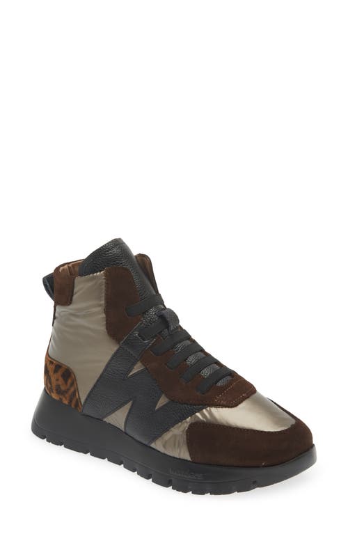 Wonders Fashion High-top Sneaker In Brown Maroon Leo Combo