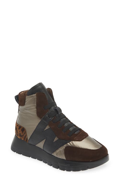 Shop Wonders Fashion High-top Sneaker In Brown Maroon Leo Combo