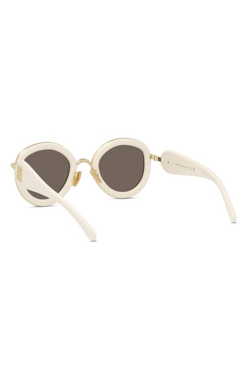 Shop Loewe 49mm Small Round Sunglasses In Ivory/brown