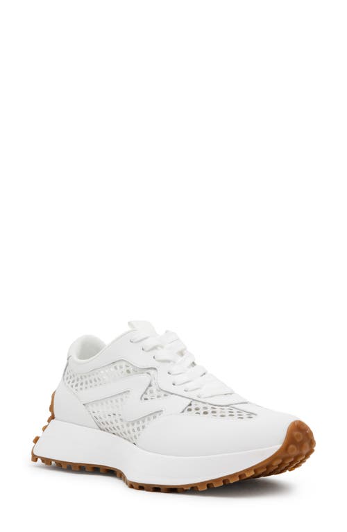 Shop Steve Madden Campo Sneaker In White Mesh