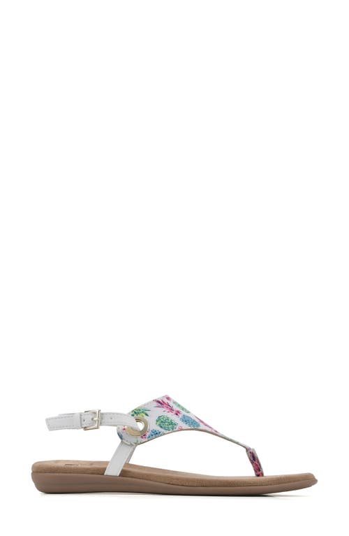 Shop White Mountain Footwear London T-strap Sandal In Rainbow/multi/fab