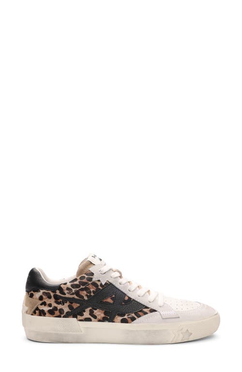 Shop Ash Moonlight Genuine Calf Hair Sneaker In Cheetah Calf Hair