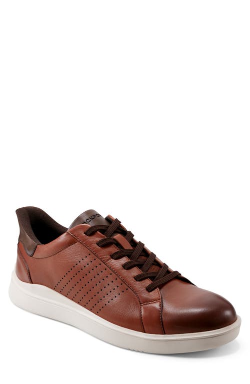 ROCKPORT ROCKPORT TRISTENL LOW TOP SNEAKER