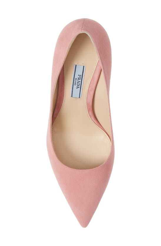 Prada Pointed-toe 100 Pumps In Pink Suede