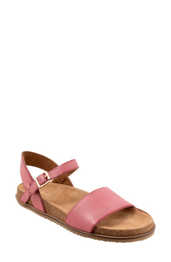 Softwalk Upland Ankle Strap Sandal In Pink