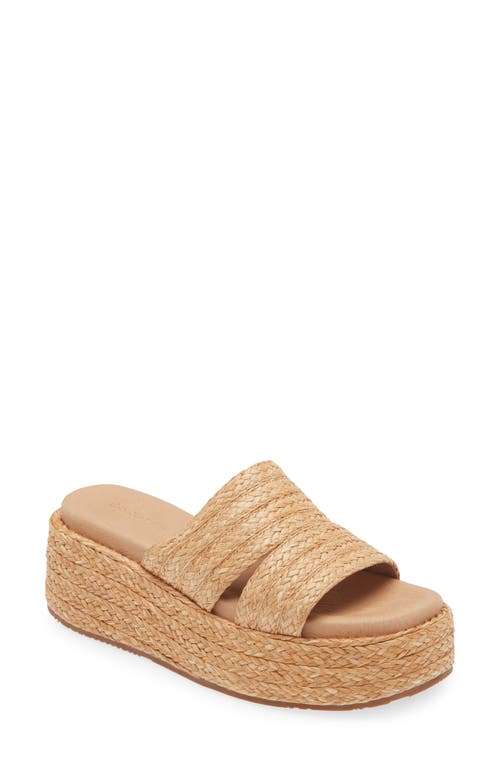 Chocolat Blu Larra Platform Slide Sandal Raffia at Nordstrom,