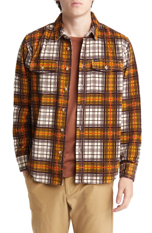 Haines Plaid Cotton Corduroy Button-Up Shirt in Brown/Gold