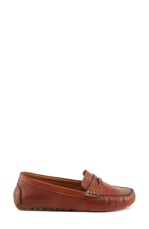 Spring Step Audette Penny Loafer In Brown