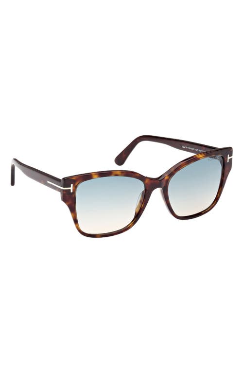 Shop Tom Ford Elsa 55mm Butterfly Sunglasses In Dark Havana/turquoise Sand