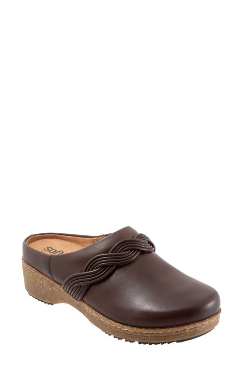 SoftWalk Arvada Twist Mule Dark Brown at Nordstrom,