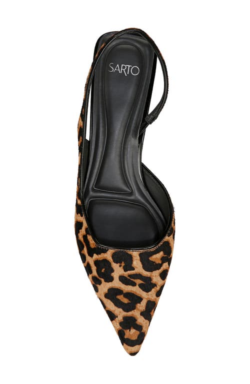 SARTO BY FRANCO SARTO SARTO BY FRANCO SARTO DEVIN SLINGBACK HALF D'ORSAY POINTED TOE KITTEN HEEL PUMP 