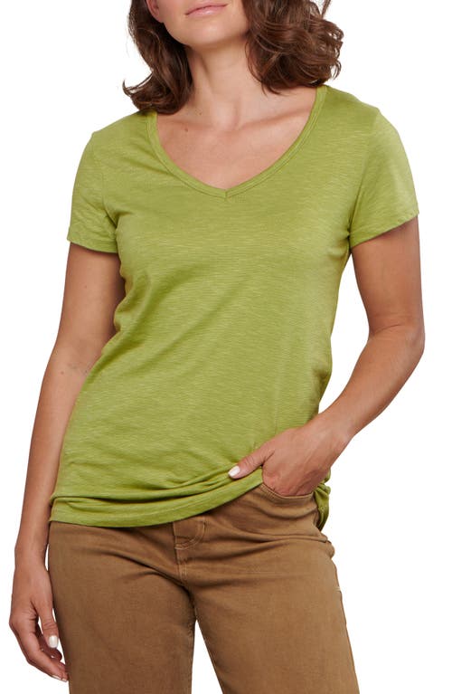 Marley II Organic Cotton Blend T-Shirt in Frog