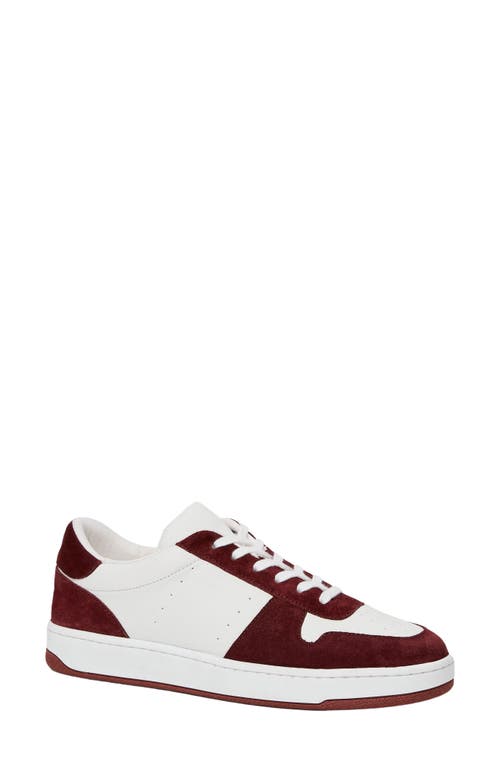 Shop Paige Remy Sneaker In Burgundy/white