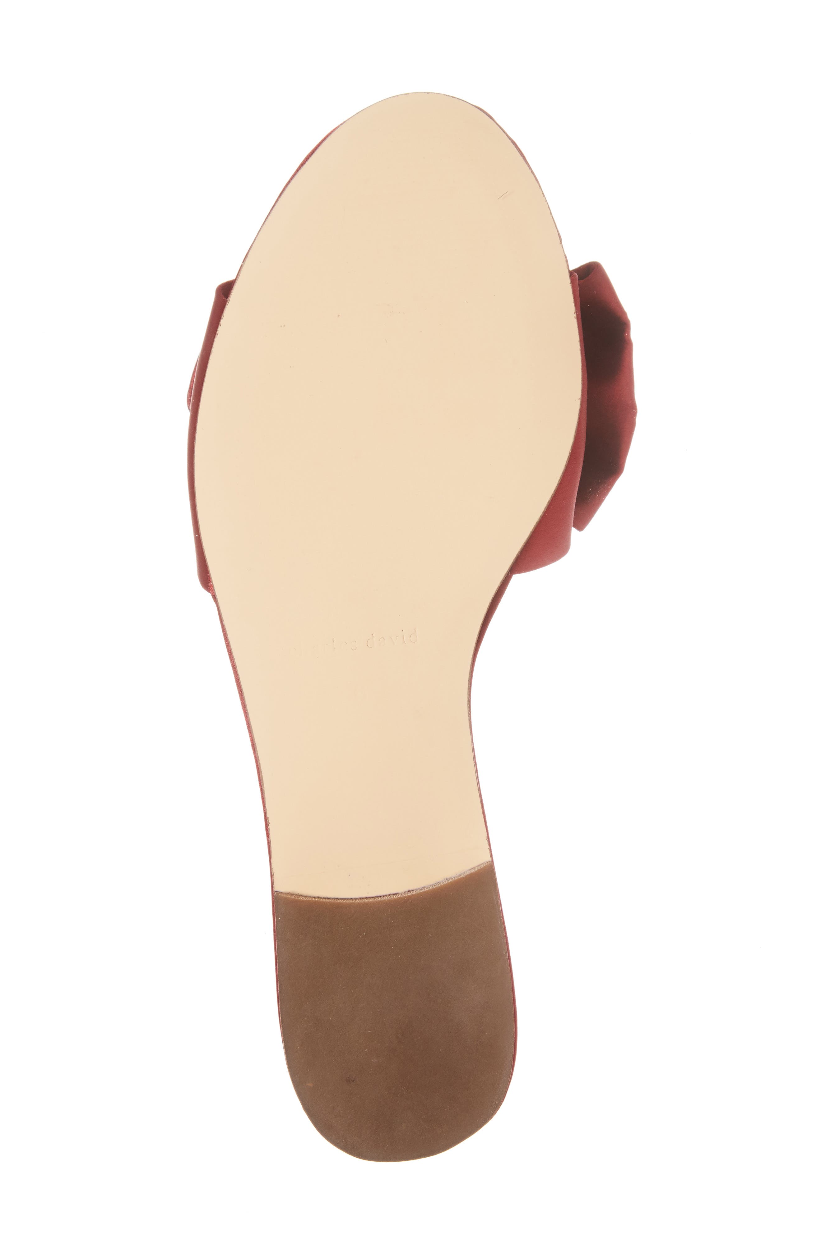 charles david slides