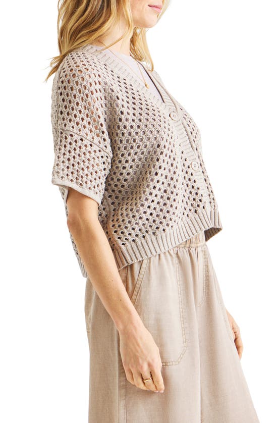 Splendid Nova Short Sleeve Cotton Pointelle Cardigan In Fawn