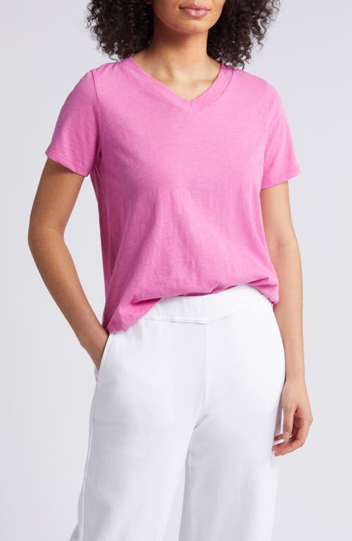 Eileen Fisher V-Neck Organic Cotton T-Shirt at Nordstrom