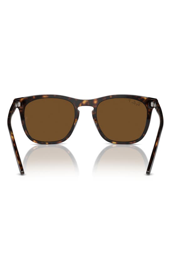 Ray Ban 53mm Polarized Square Sunglasses In Havana