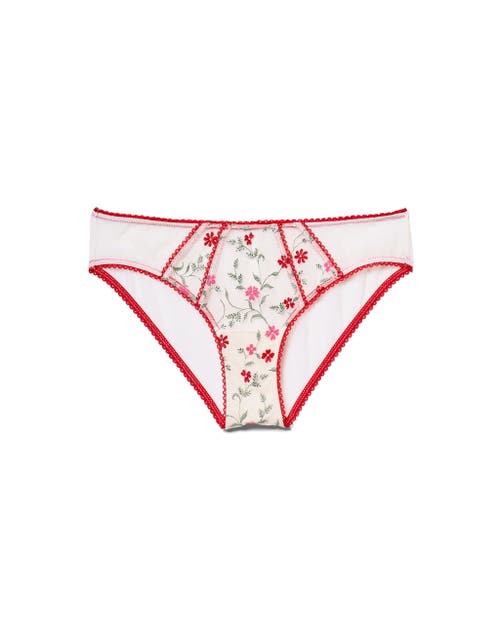 Adore Me Rosa Bikini Panties In Floral Red