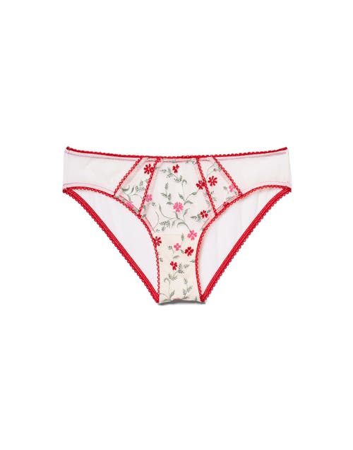 Shop Adore Me Rosa Bikini Panties In Floral Red