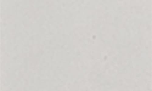 Trish Mcevoy Wild Blueberry Vanilla Diffuser In No Color