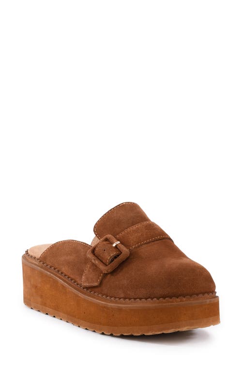 Shop Seychelles Come Together Platform Wedge Loafer Mule In Brown