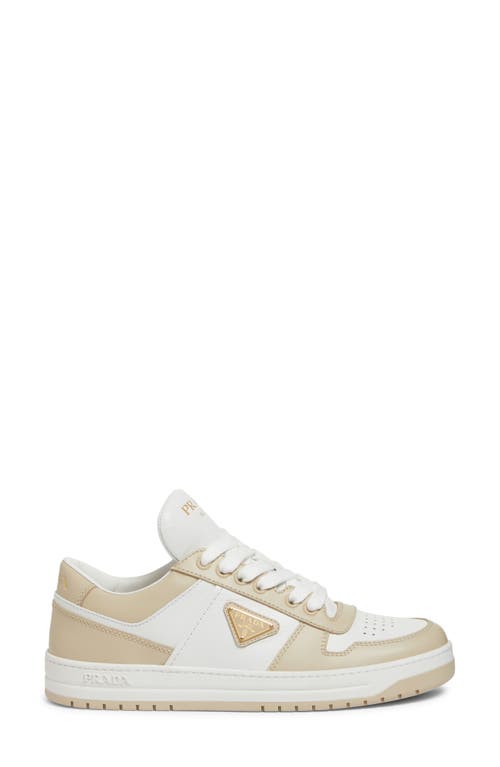 Prada Downtown Logo Low Top Sneaker In Bianco/ Deserto
