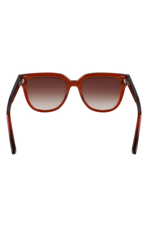 LONGCHAMP LONGCHAMP LE PLIAGE 52MM ROUND SUNGLASSES