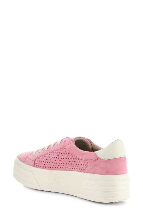 Shop Bos. & Co. Lotta Platform Sneaker In Pink Rose/marfil