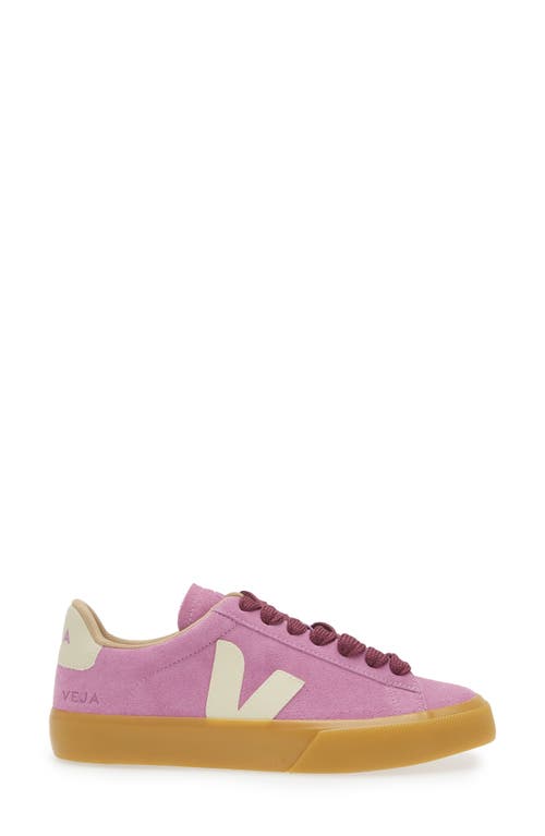 Shop Veja Campo Sneaker In Mulberry/pierre