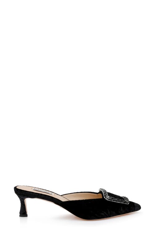 Shop Badgley Mischka Collection Abigayl Pointed Toe Mule In Black Velvet