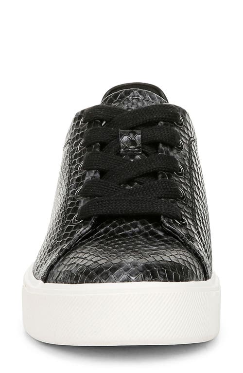 Shop Naturalizer Morrison 2.0 Sneaker In Black/grey