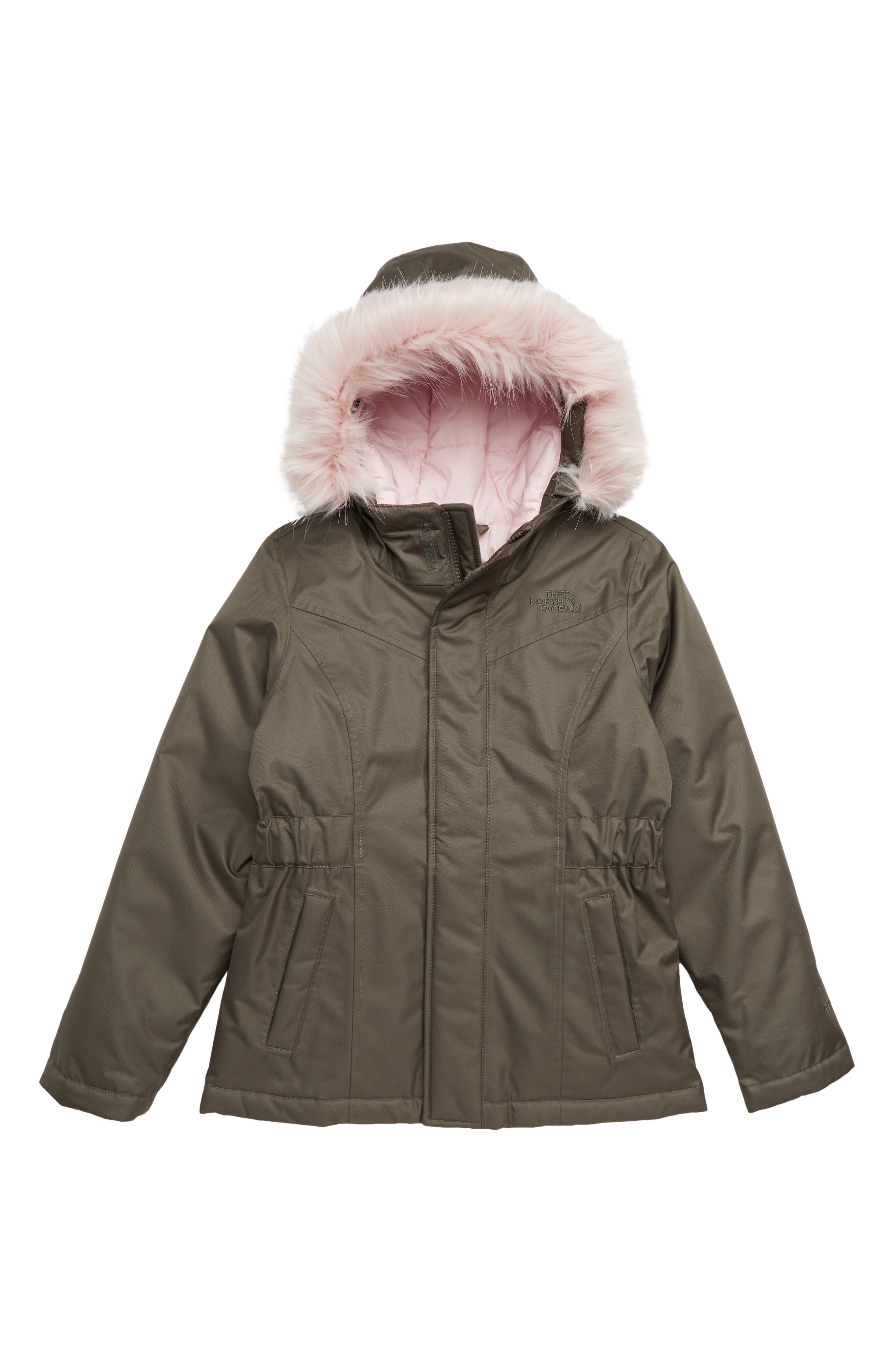 north face greenland down parka