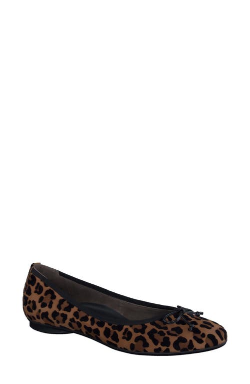 Shop Paul Green Ursula Ballet Flat In Sisal Leo Velvet