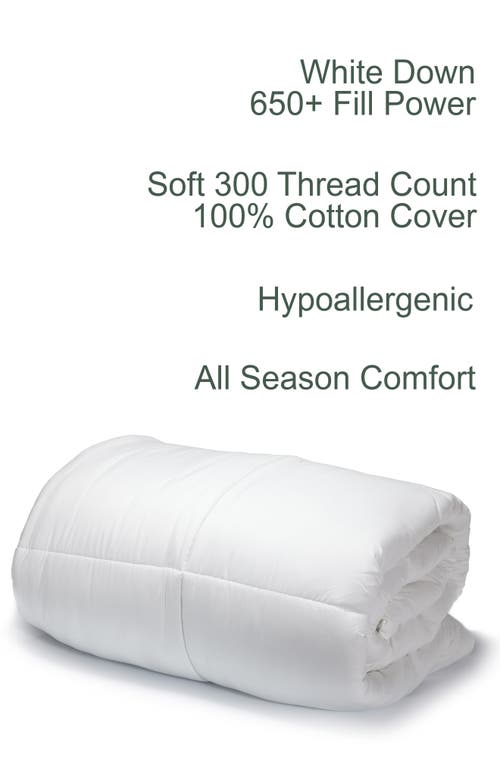 Melange Home 650 Fill Power Down 300 Thread Count Comforter In White