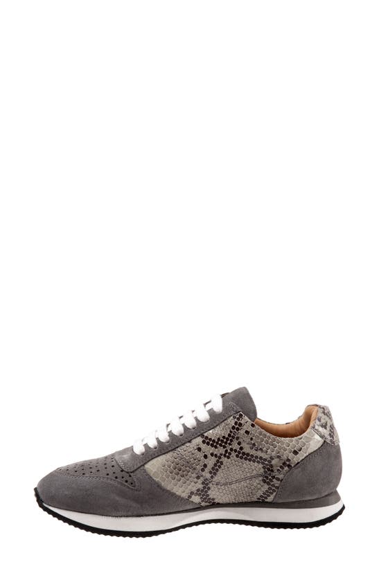 Shop Trotters Infinity Leather Sneaker In Grey Suede Snake