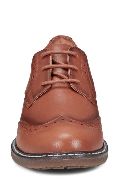 Shop Easy Spirit Jonah Wingtip Derby In Medium Brown