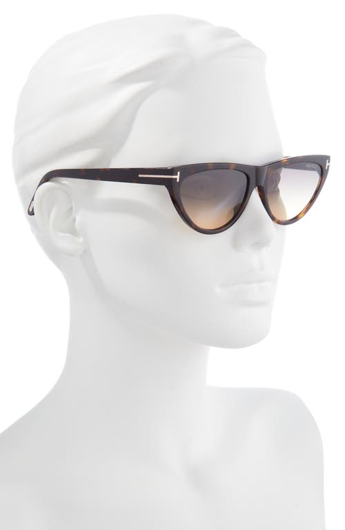 Shop Tom Ford Amber 56mm Cat Eye Sunglasses In Dark Havana/smoke/amber
