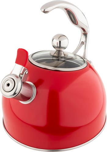 Modern Stainless Steel Surgical Whistling Teapot-Stove Top Teapot