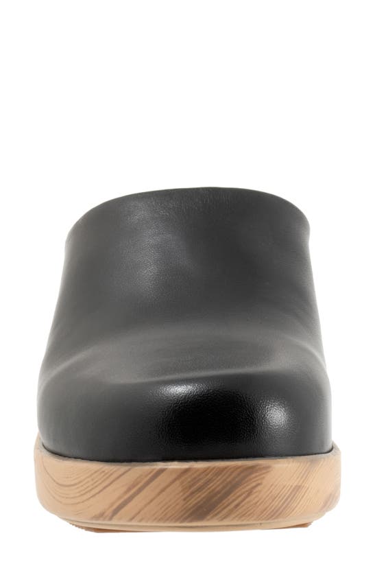 Softwalk Felida Platform Mule In Black