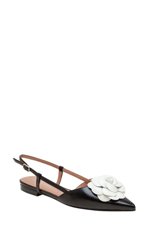 Linea Paolo Cammy Slingback Pointed Toe Flat at Nordstrom,