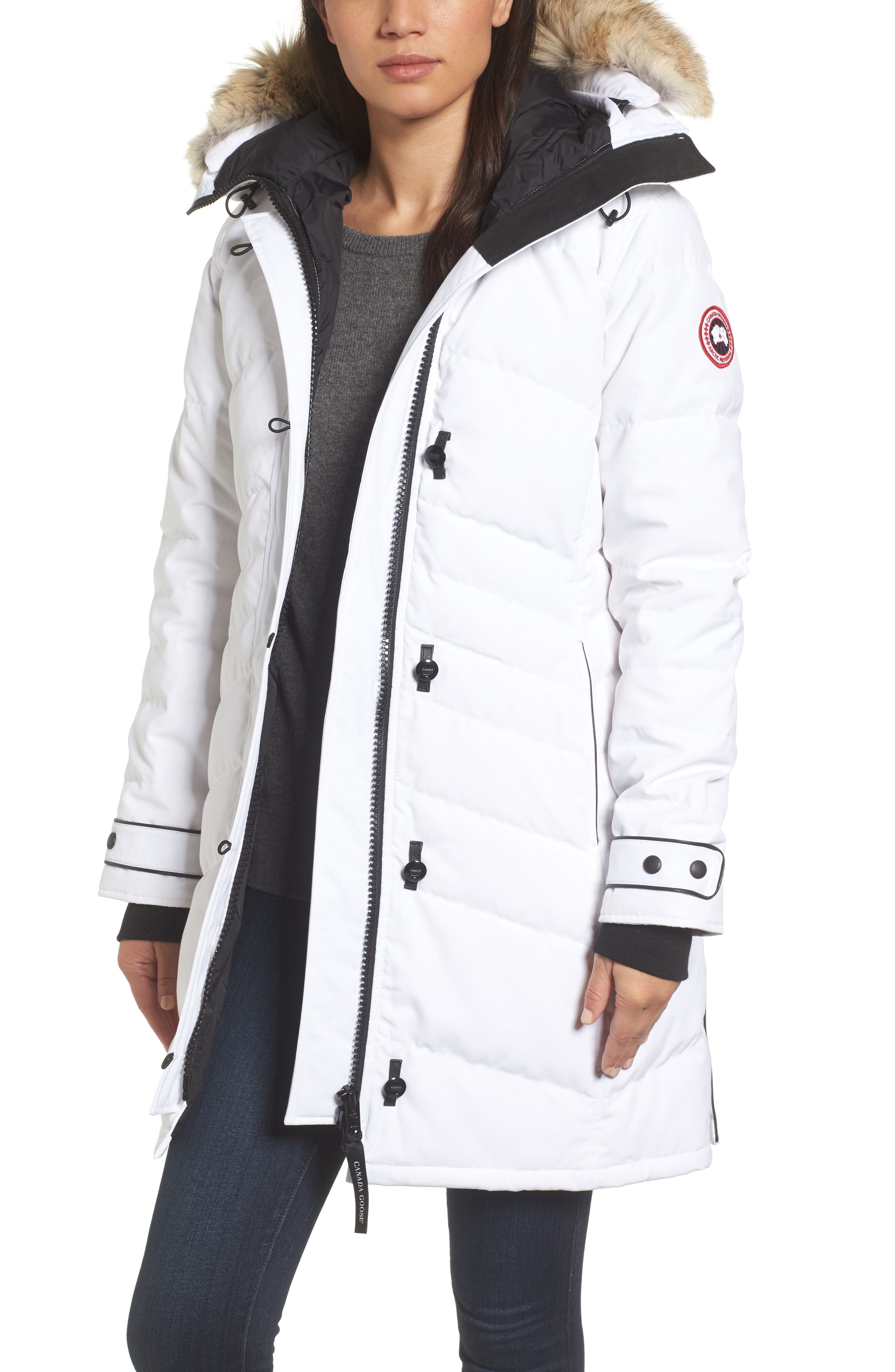 Canada Goose