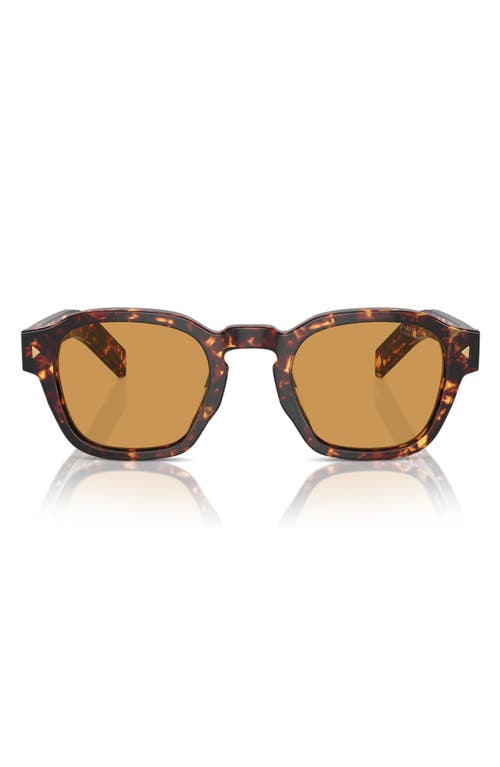 Prada 49mm Round Phantos Sunglasses In Brown